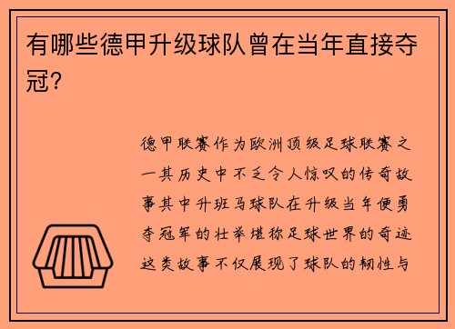 有哪些德甲升级球队曾在当年直接夺冠？